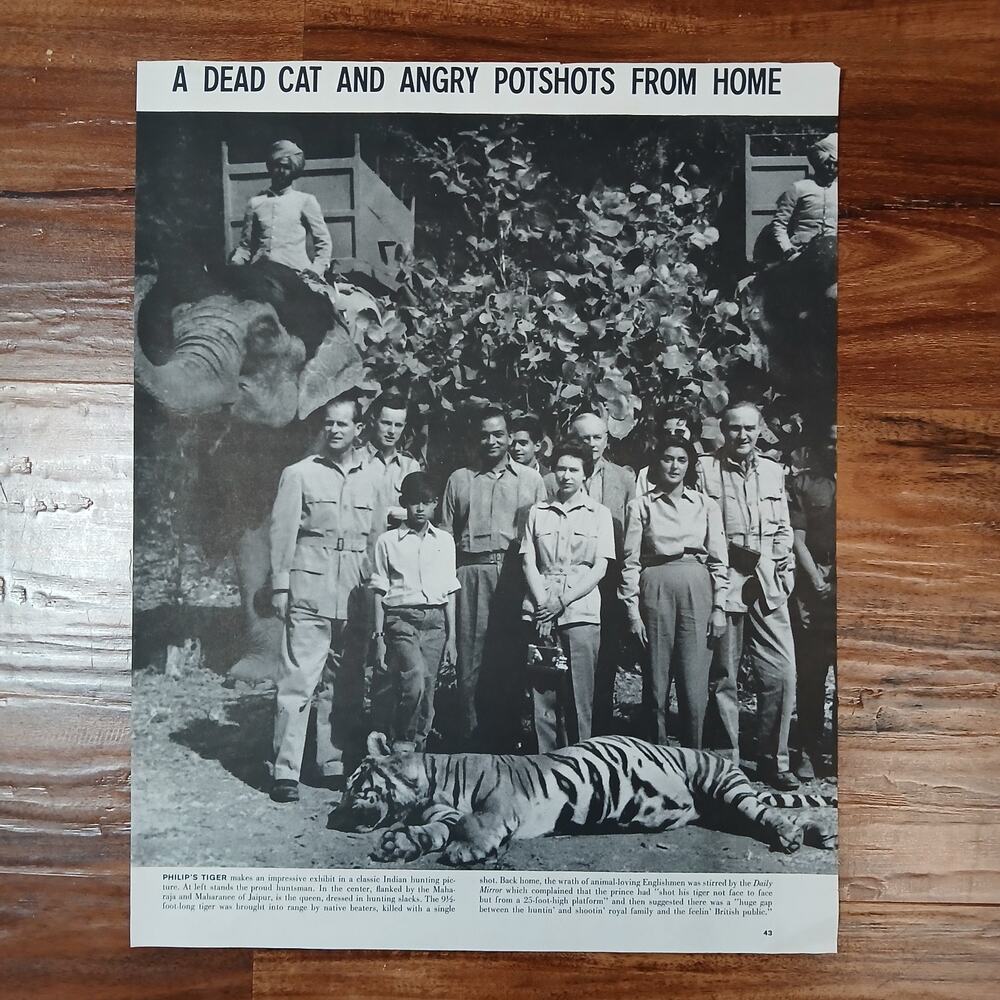 Original 1961 Life Magazine Photo- Royal Safari Tiger Queen Philip Elephants